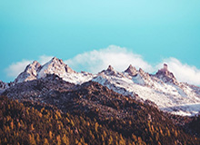 巴恩斯25+14西亚卡姆18分 猛龙主场大胜步行者